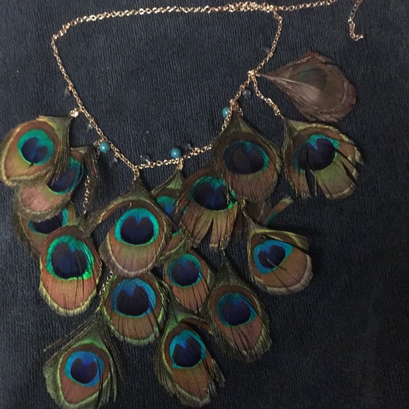 None Accessories - Brand new